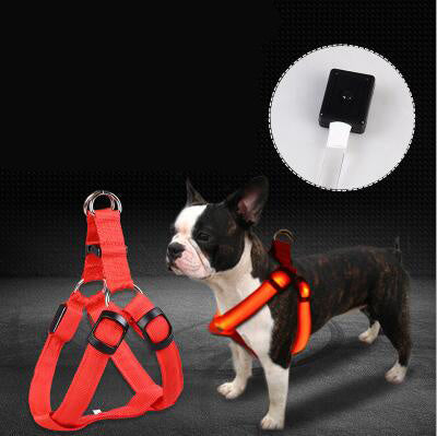 LED Luminous Dog Harness - Pawtique Pet Store