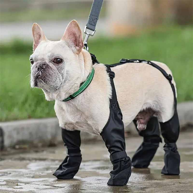 Waterproof Dog Shoes - Pawtique Pet Store