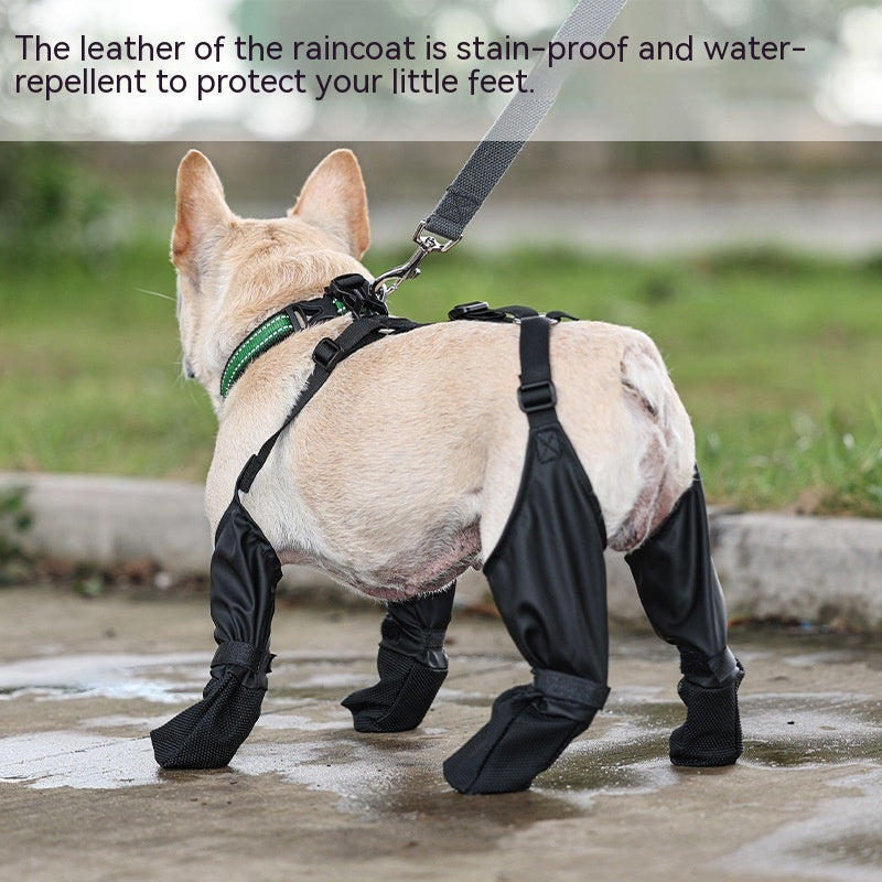 Waterproof Dog Shoes - Pawtique Pet Store