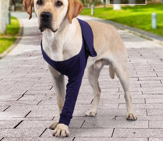 Anti-Licking Recovery Sleeve for Dogs - Pawtique Pet Store